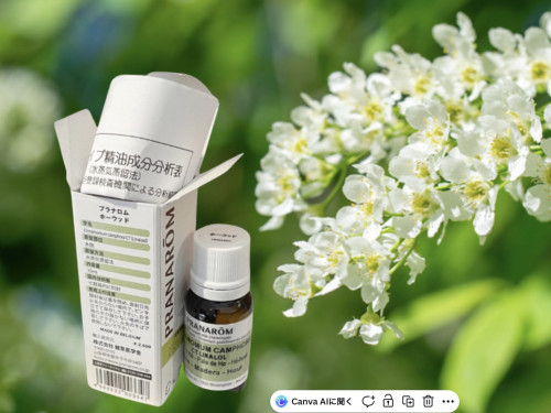 講座体験・相談会