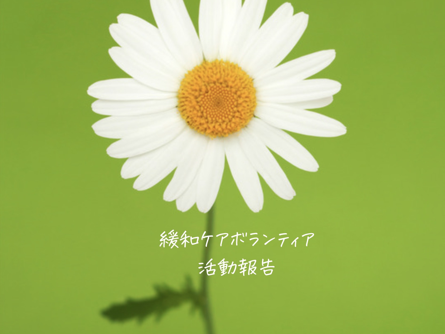 緩和ケアボランティア