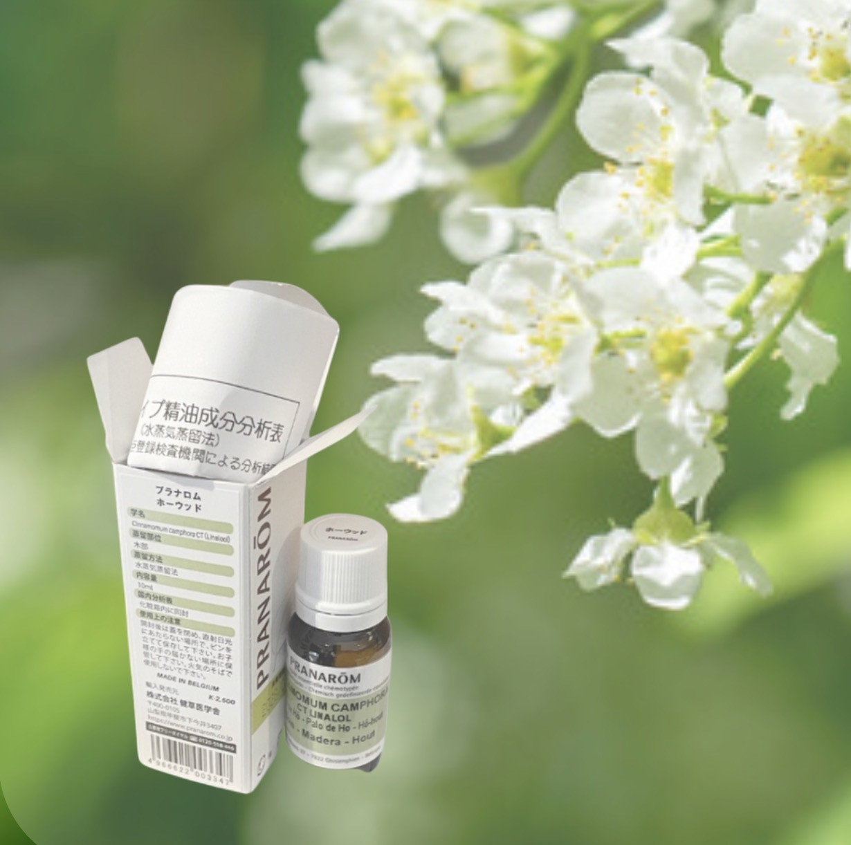 アロマショップ