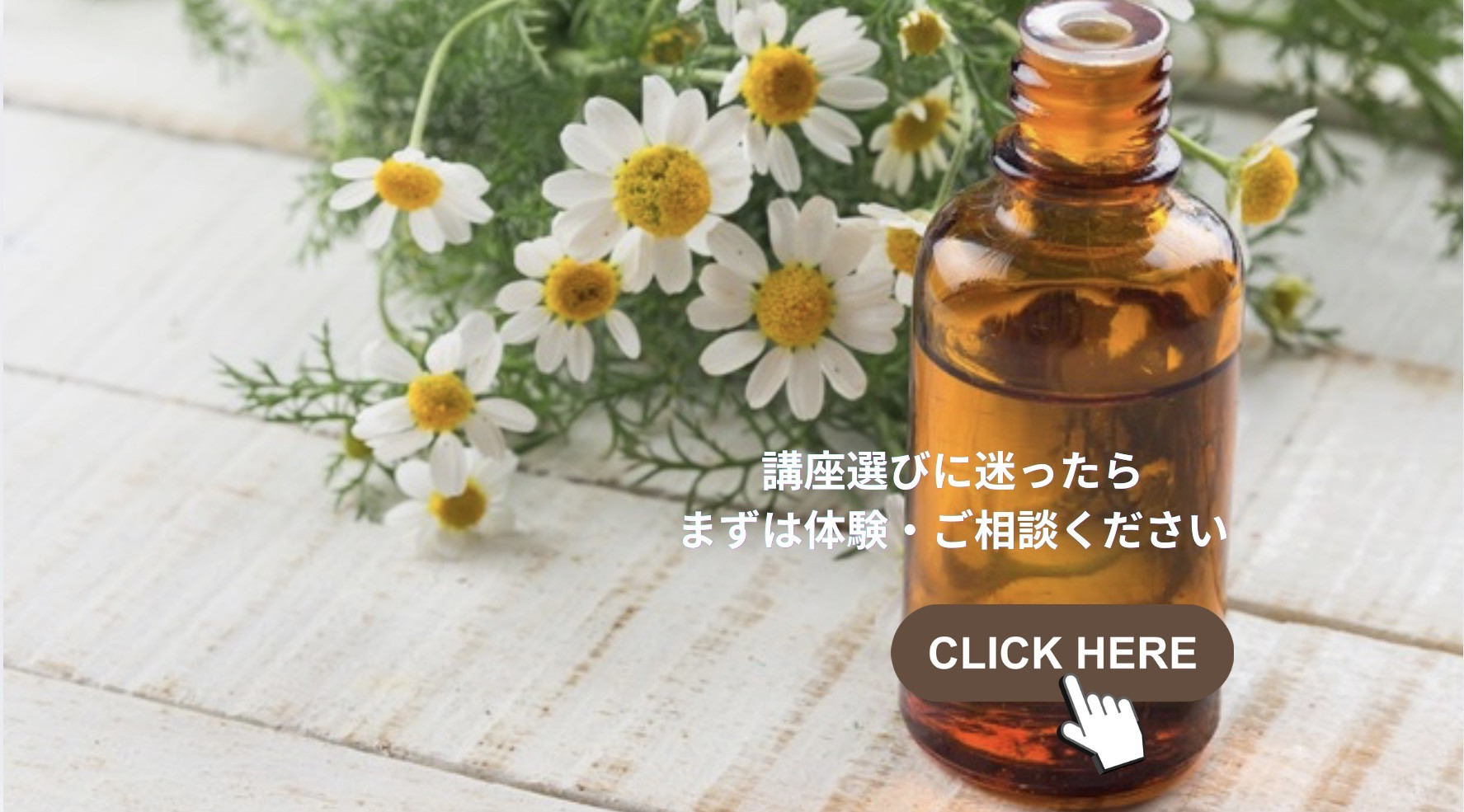 LINE相談 / zoom相談 / 個別対応