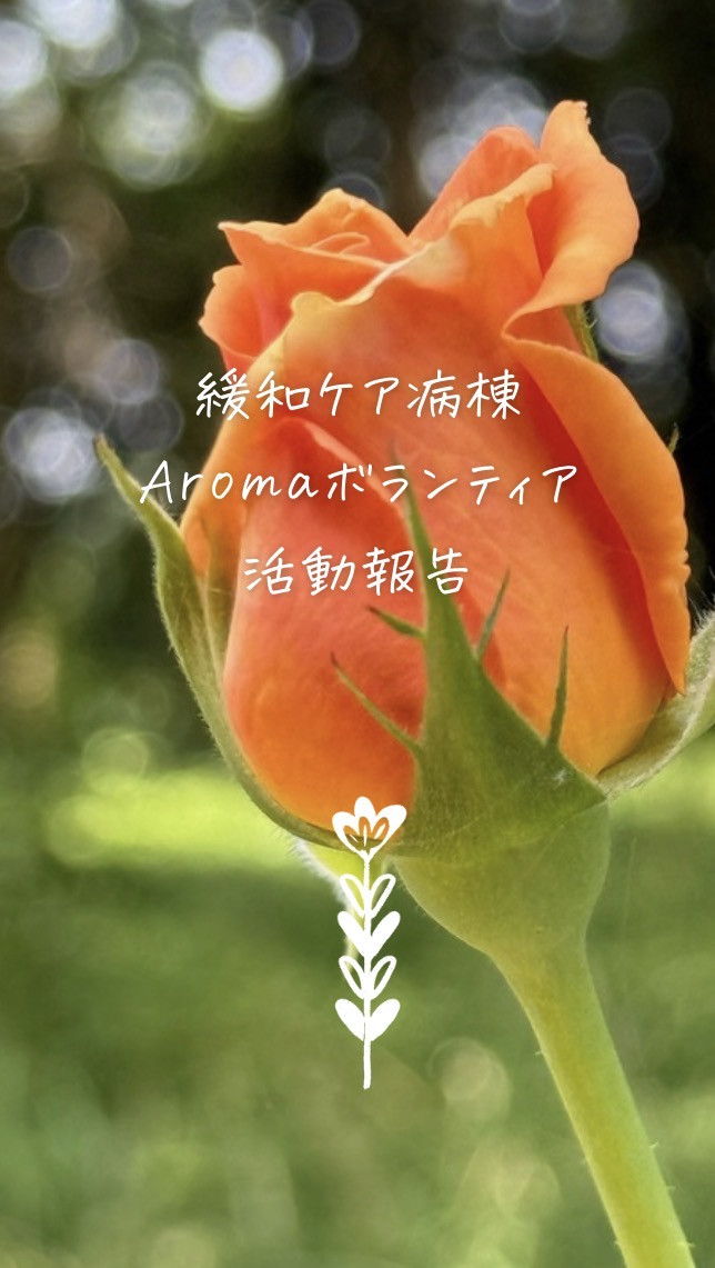 最新の緩和ケア活動