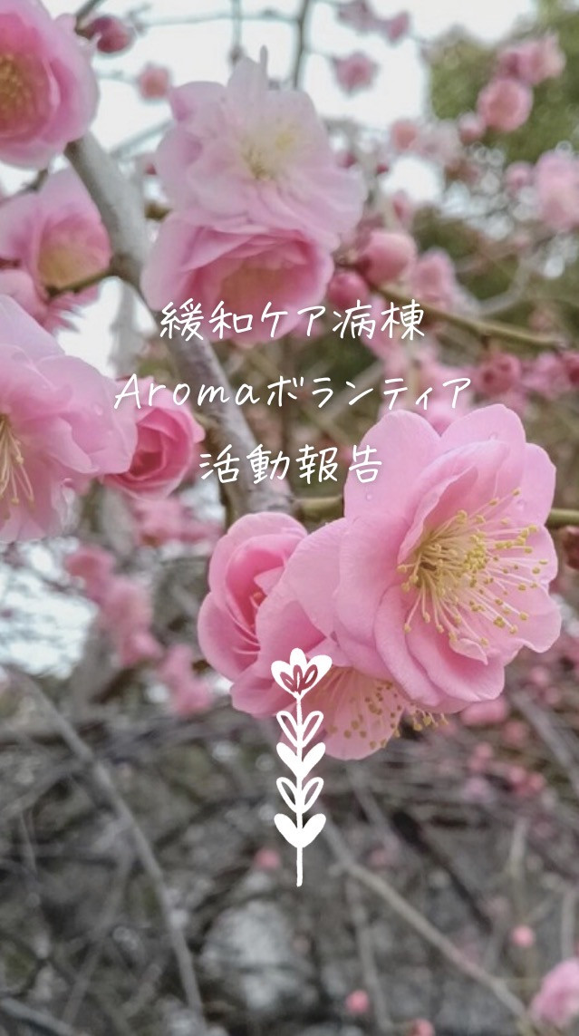 春の緩和ケア活動