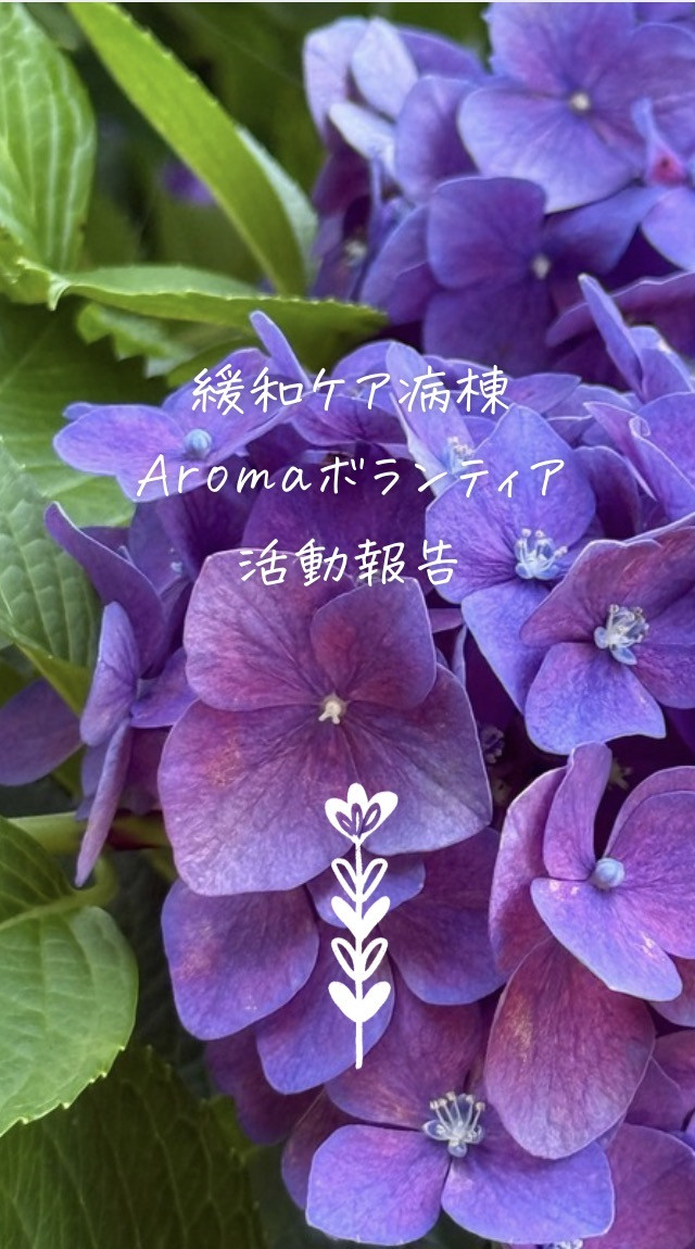 最新の緩和ケア活動