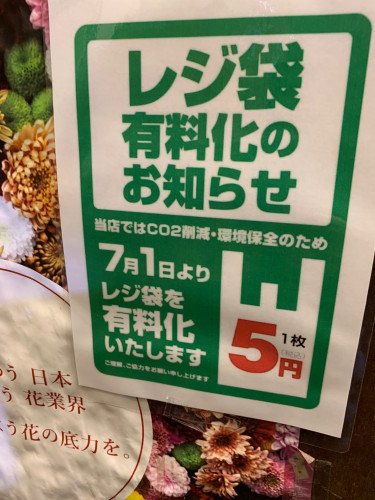 北千住の花屋 花屋小梅 はなやこうめ