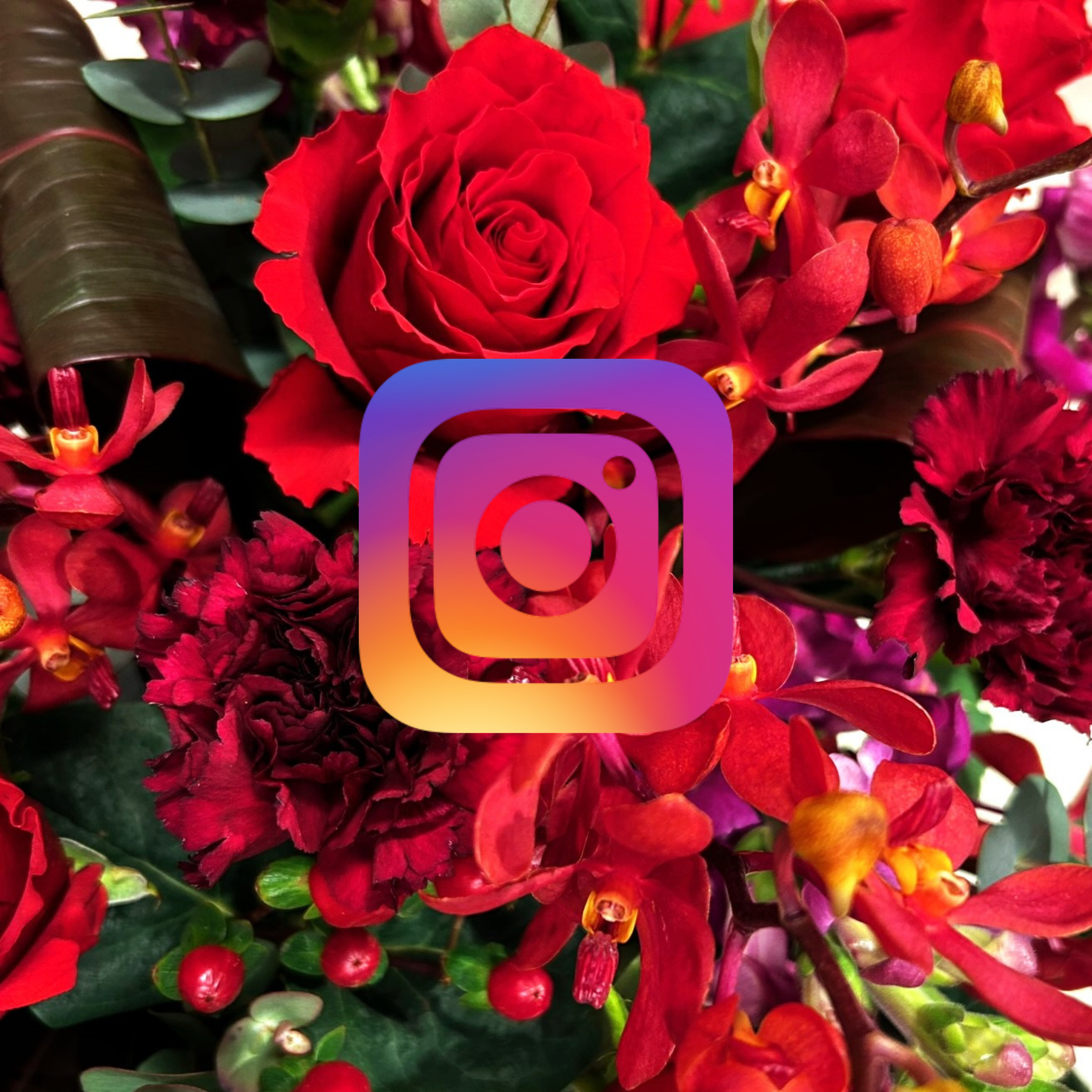 インスタグラム更新中