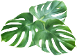 monste.png
