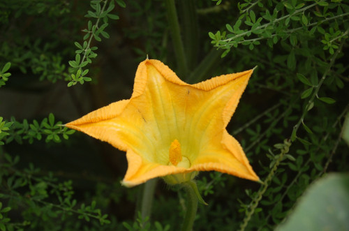 DSC_0148.JPG