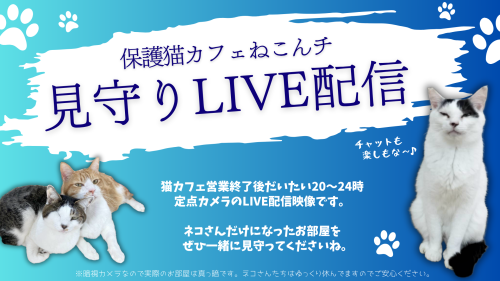 見守りLIVE配信.png