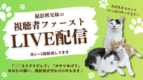 視聴者ファーストLIVE配信.png