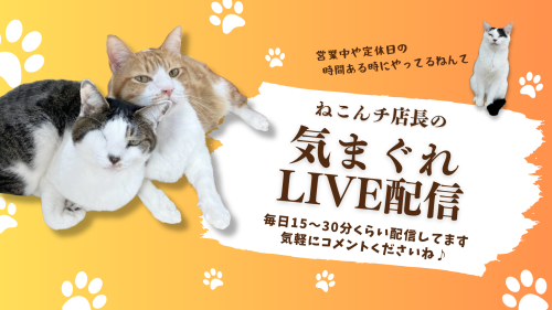 店長のLIVE配信.png