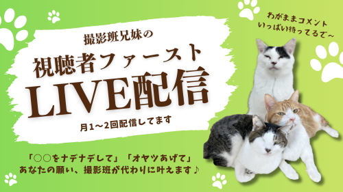 視聴者ファーストLIVE配信.png