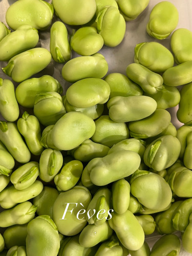 4505411A-60CA-4E58-AD12-91D6D6E28CFC.jpeg