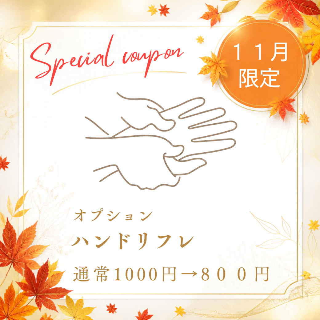 １１月限定オプション