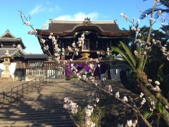 親鸞さま巡り京都編 本元寺 真宗大谷派 東本願寺