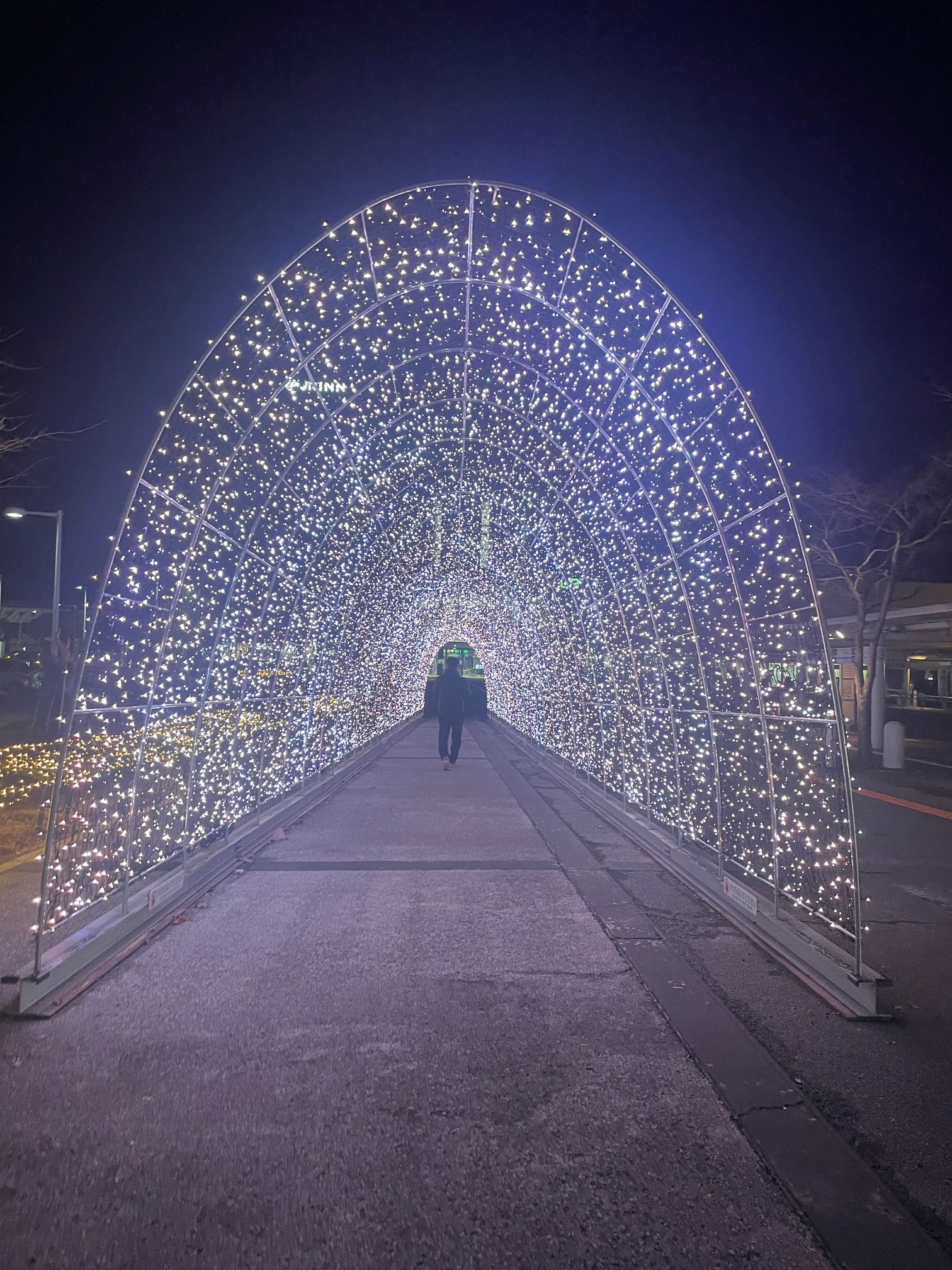 函館駅前イルミネーション「Welcom Lights」