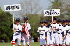 S__38895647_0.jpg