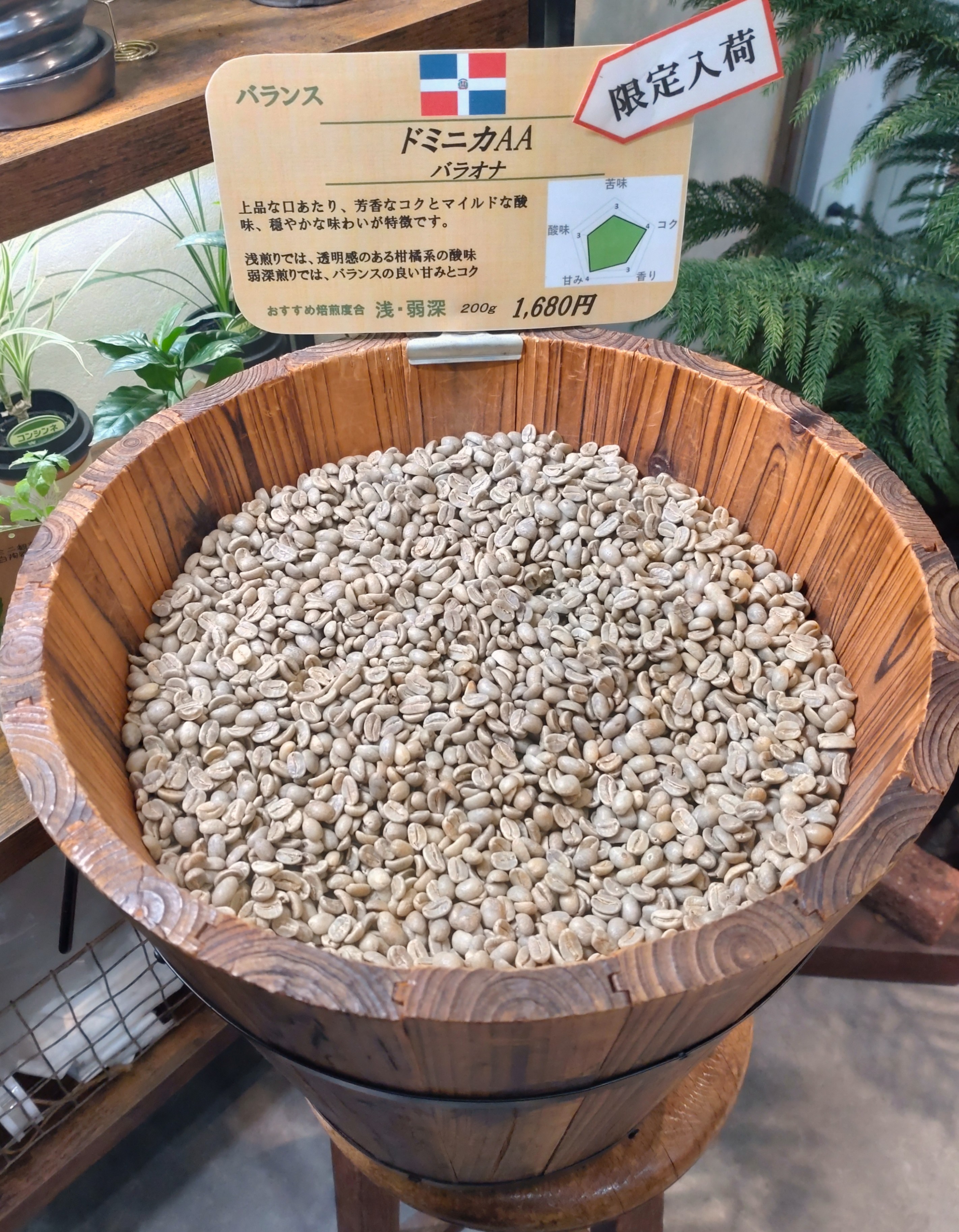 【限定入荷】　ドミニカ AA　バラオナ