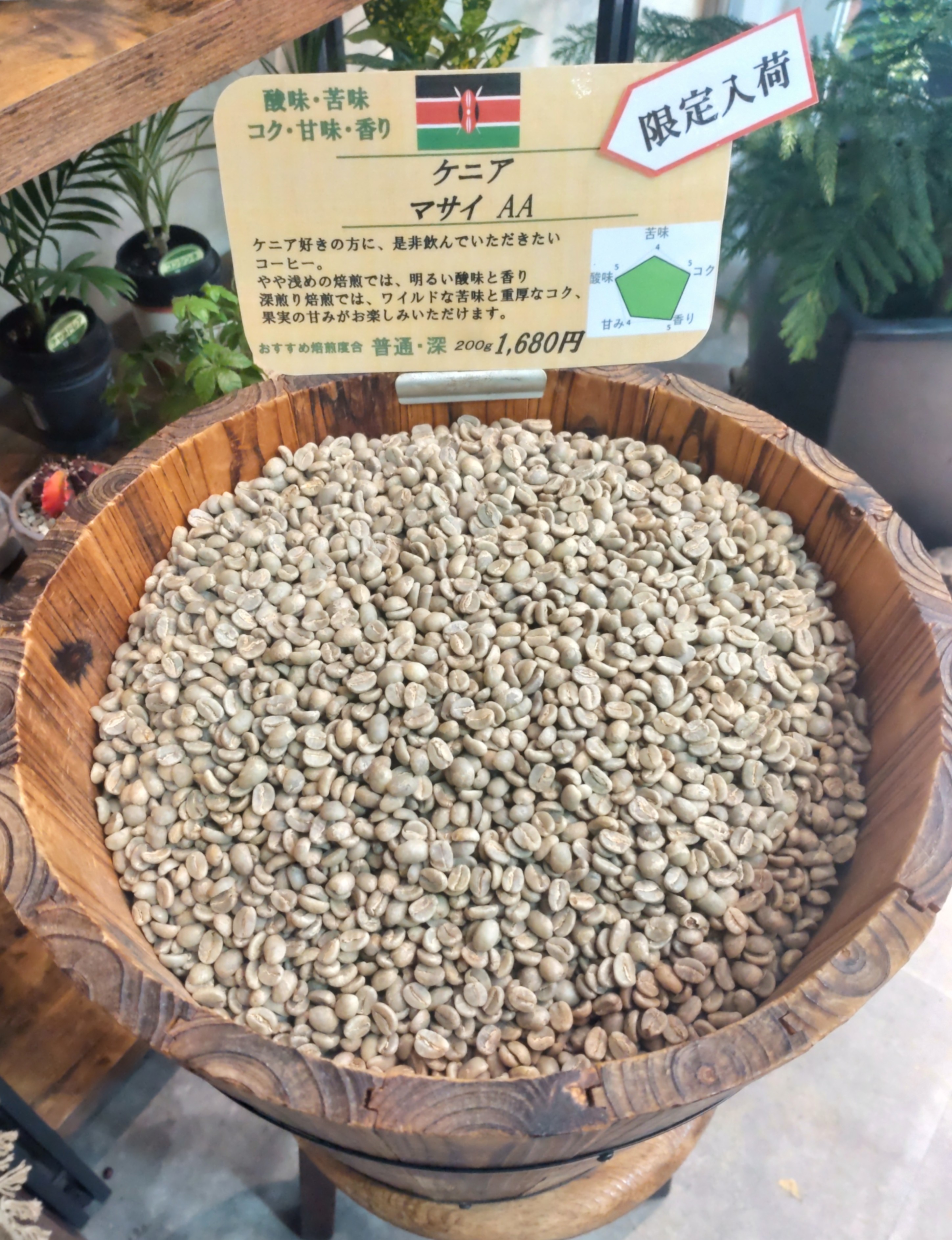 【限定入荷】　ケニア　マサイAA