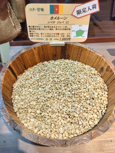 【限定入荷】　カメルーン   ンベサ   ジャバ  G1