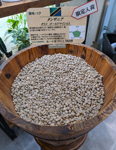 【限定再入荷】　タンザニア　タリメ　ゴールドマインAA