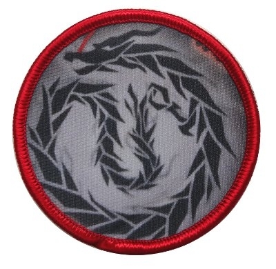 c8.jpg