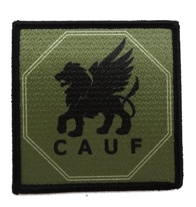 c10.jpg