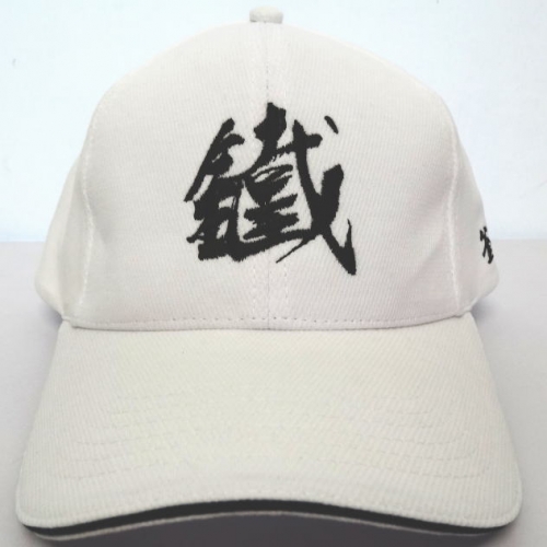 cp73-h25870c.jpg