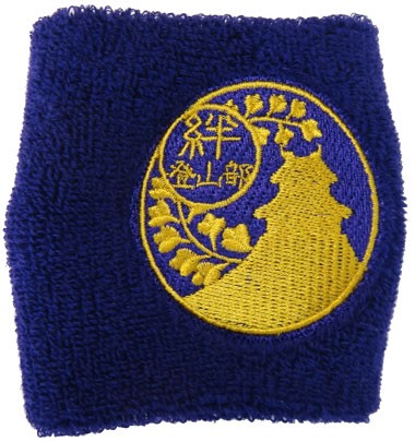 wb131-H28-1995C.jpg