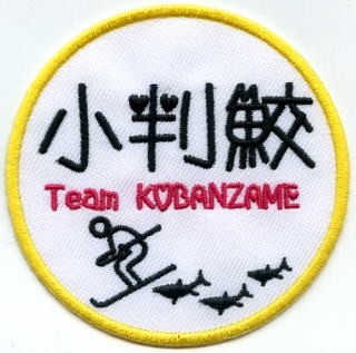 wp243-H29-12C.jpg