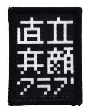 cp161-P17-81B.jpg