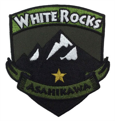 wp333-h29-1134c.jpg