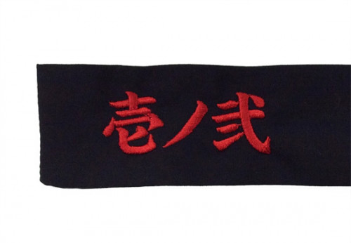 hk113-H29-1618C.jpg