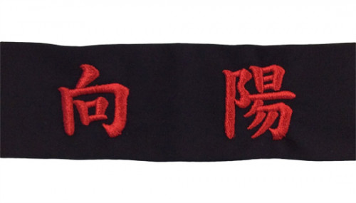 hk118-H29-1668C.jpg