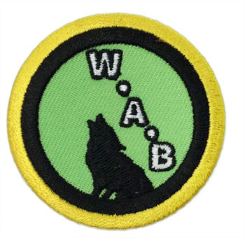 wp343-h29-2202C.jpg