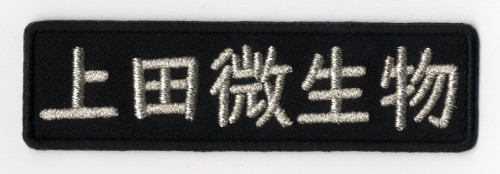 E21-800057.jpg