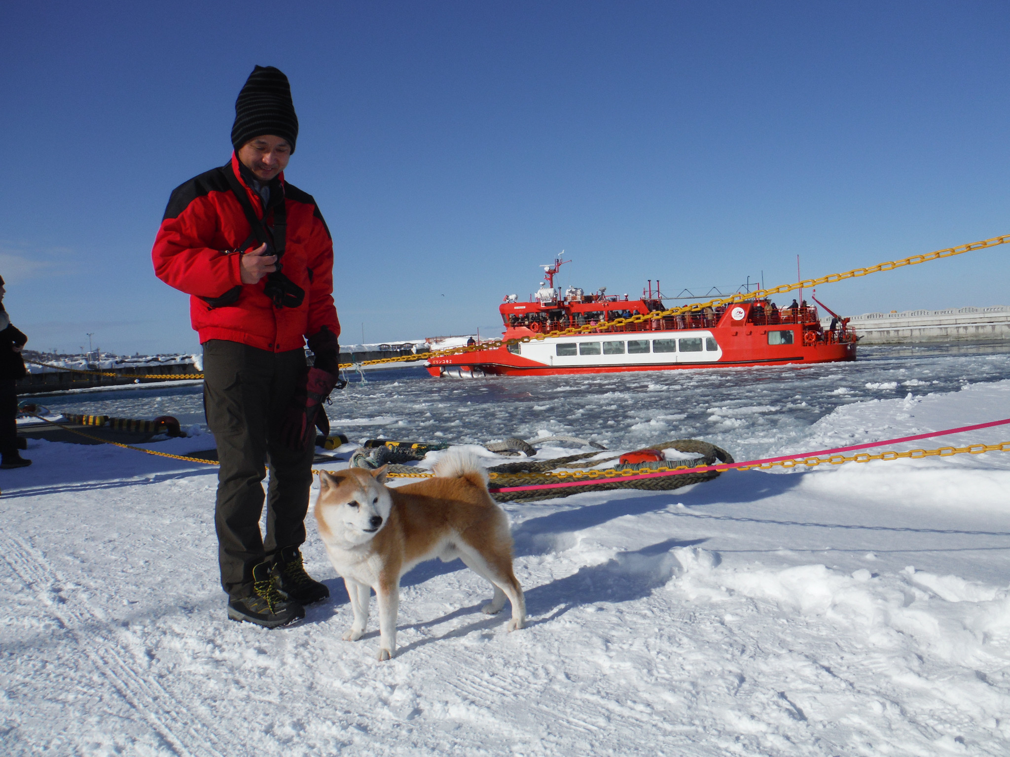 流氷ガリンコ号と柴犬義経号