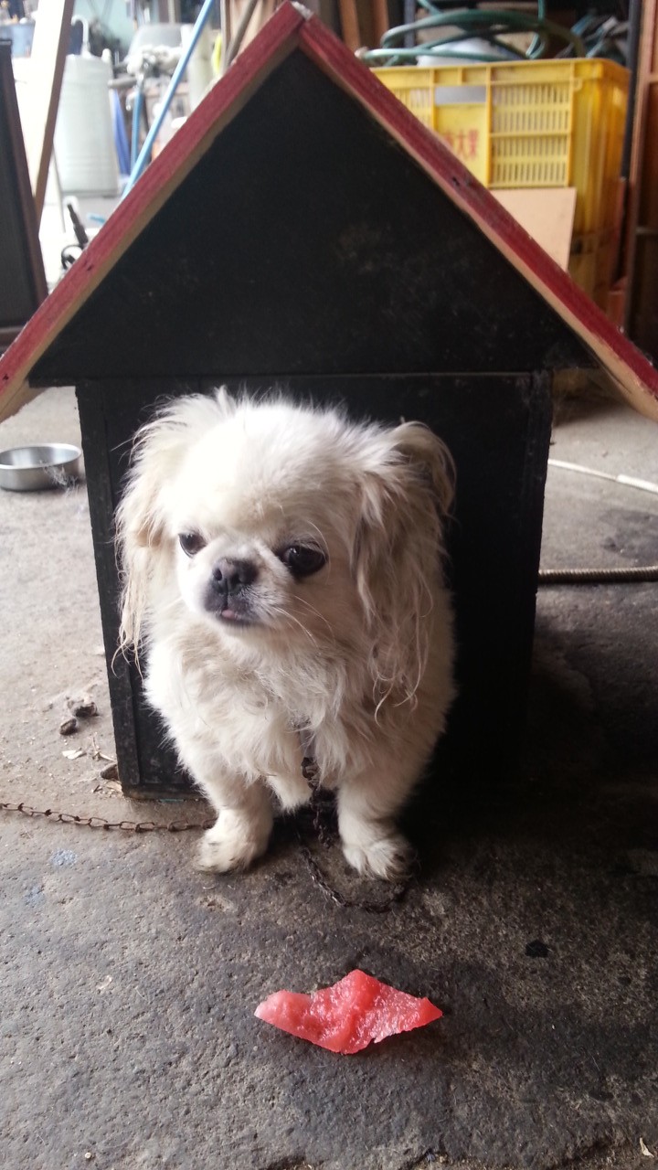 20130713_091039.jpg