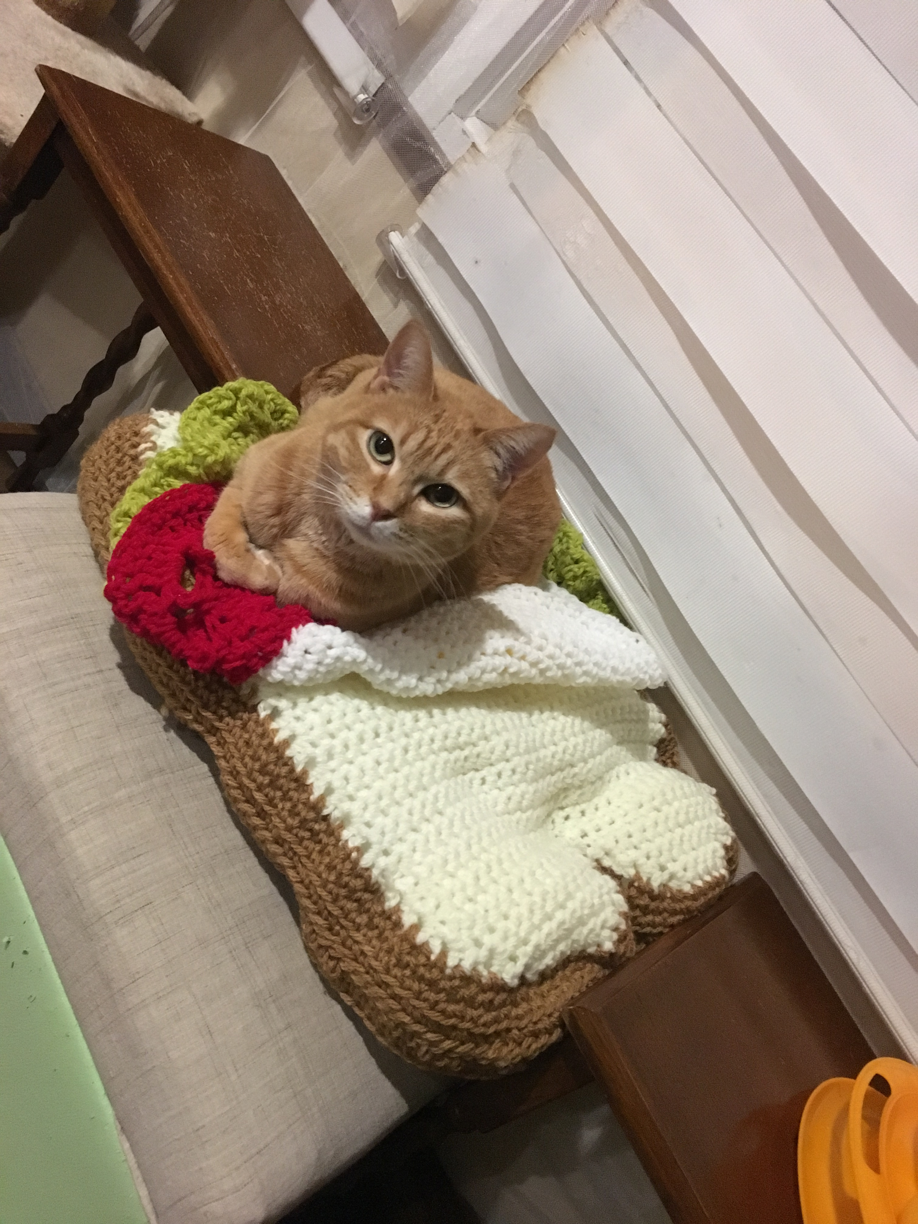 手作り 猫ちゃんのおもちゃ 販売 ねこちゃる 愛媛県松山市 ｌ キャットホテル 長期預かり キャットシッター 老猫 猫ホーム 生涯家族契約 猫のおもちゃ メモリアルグッズ