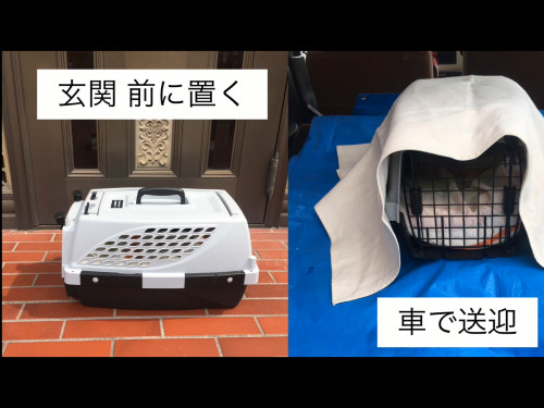 75D76144-7A88-4E12-9597-846EF519F503.png