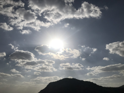 ２・３月のSUAサロン