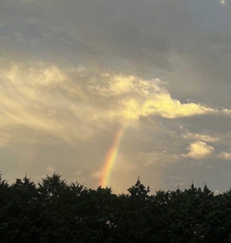 １１・１２月のセッション受付日