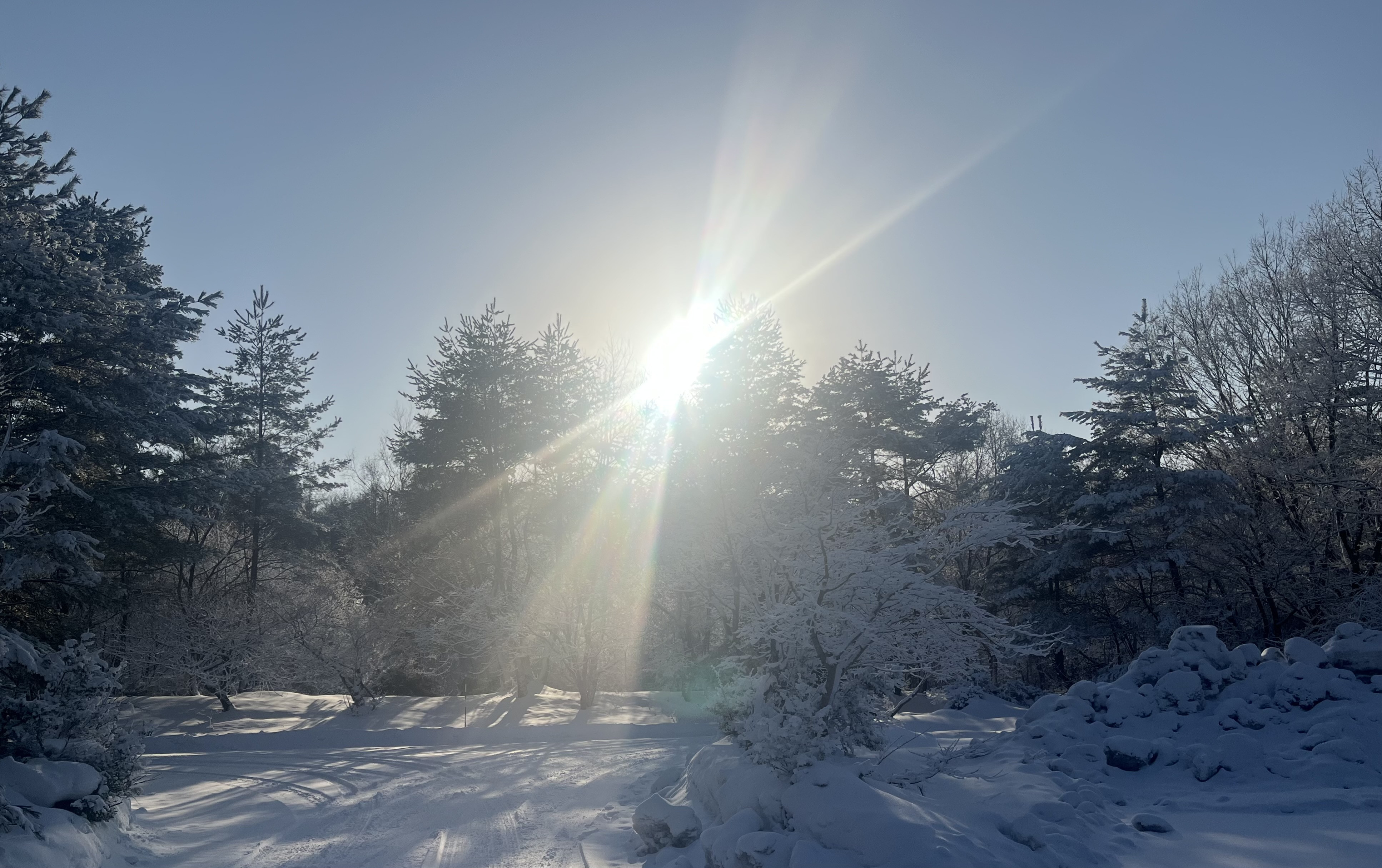 ２月のセッション受付日