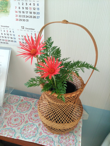 ■今日のお花