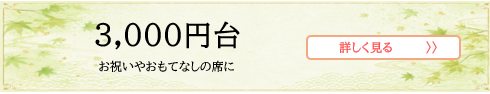 3000円台.png