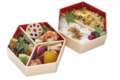 二色御飯弁当web用png.png