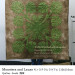 20210204inoure.jpg