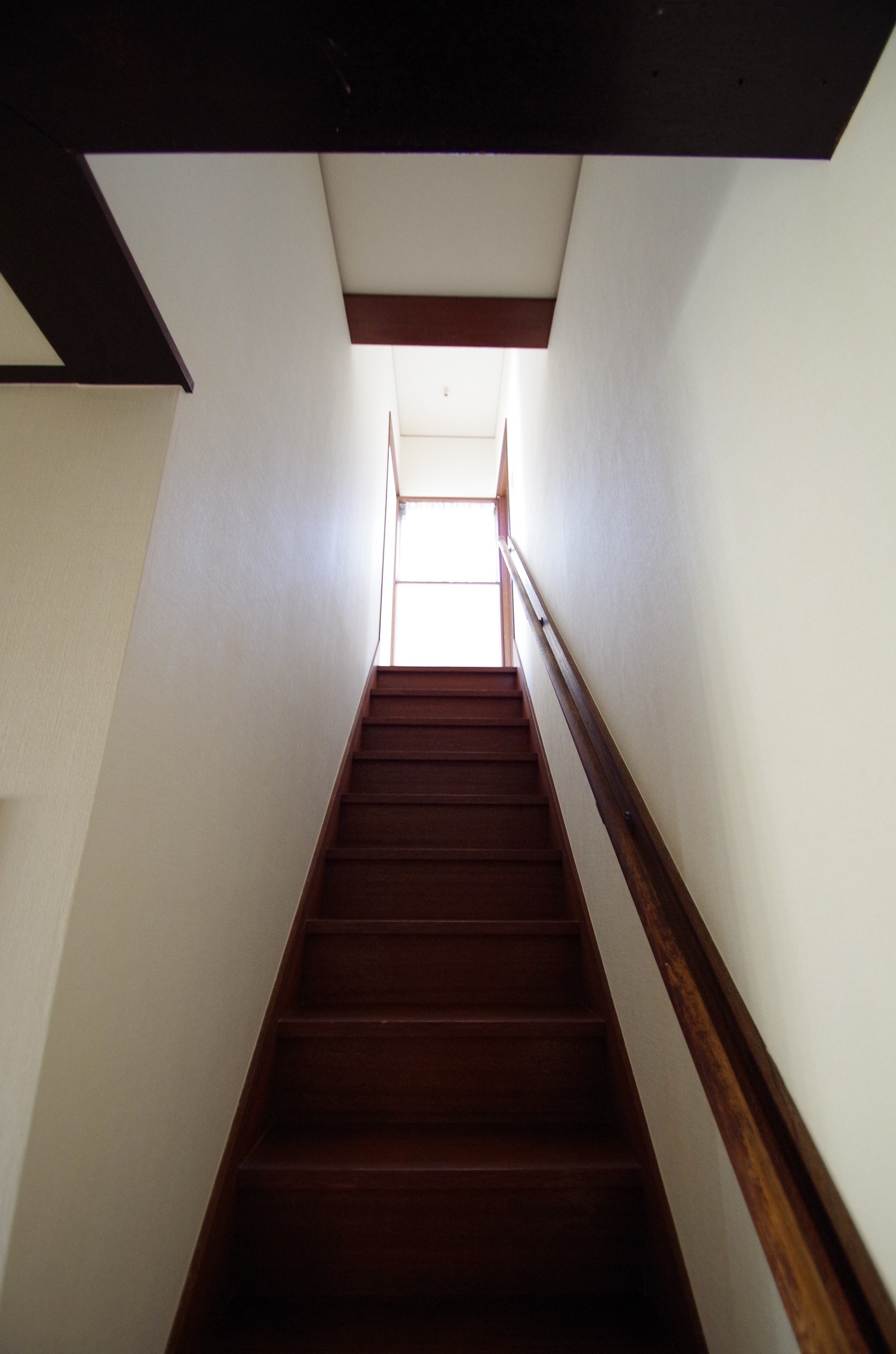 IMGP1004 のコピー.JPG