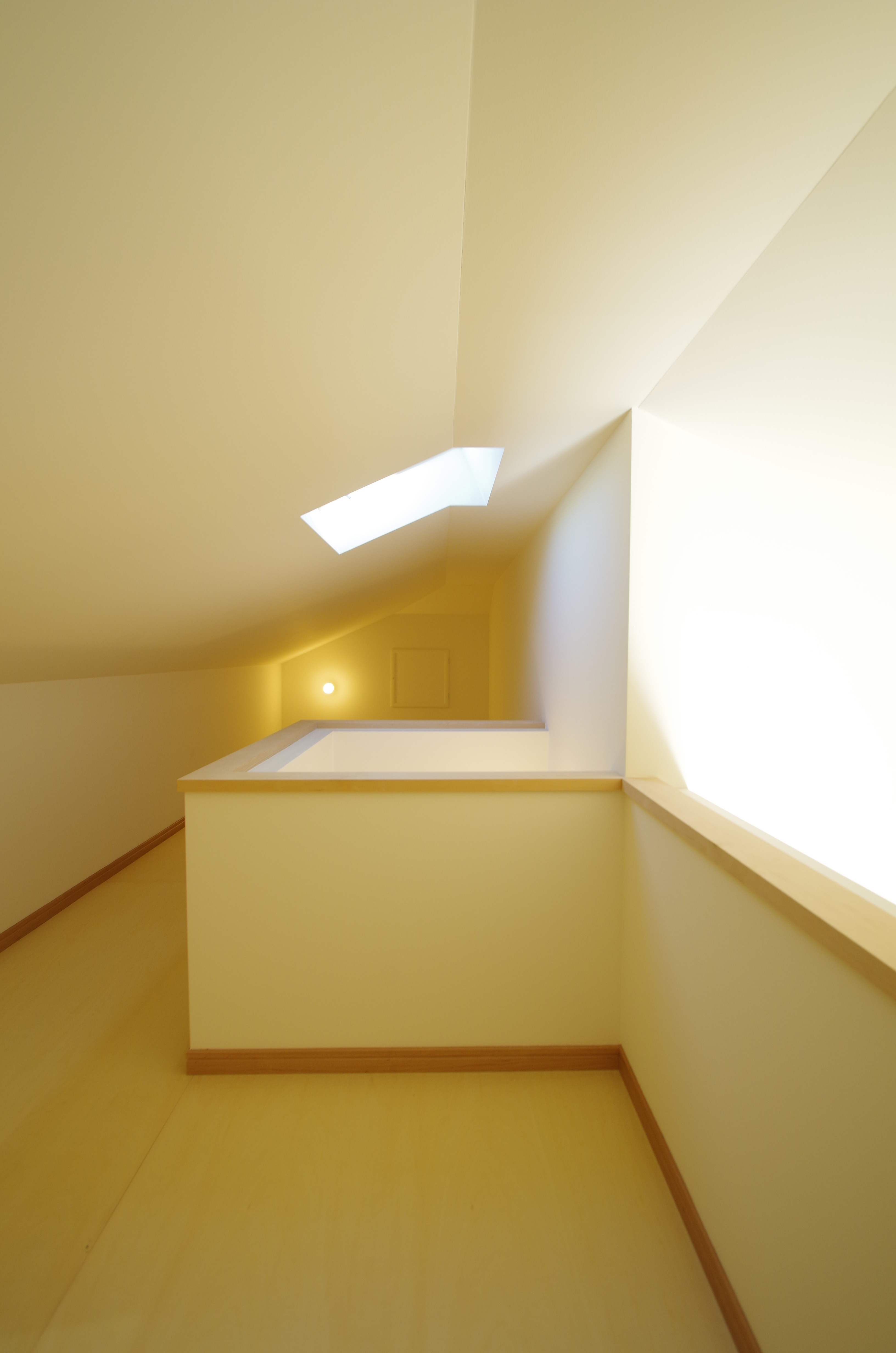 IMGP6272.JPG