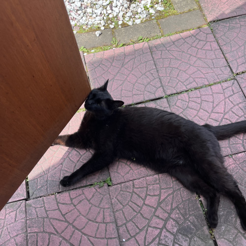 IMG_6821.jpeg