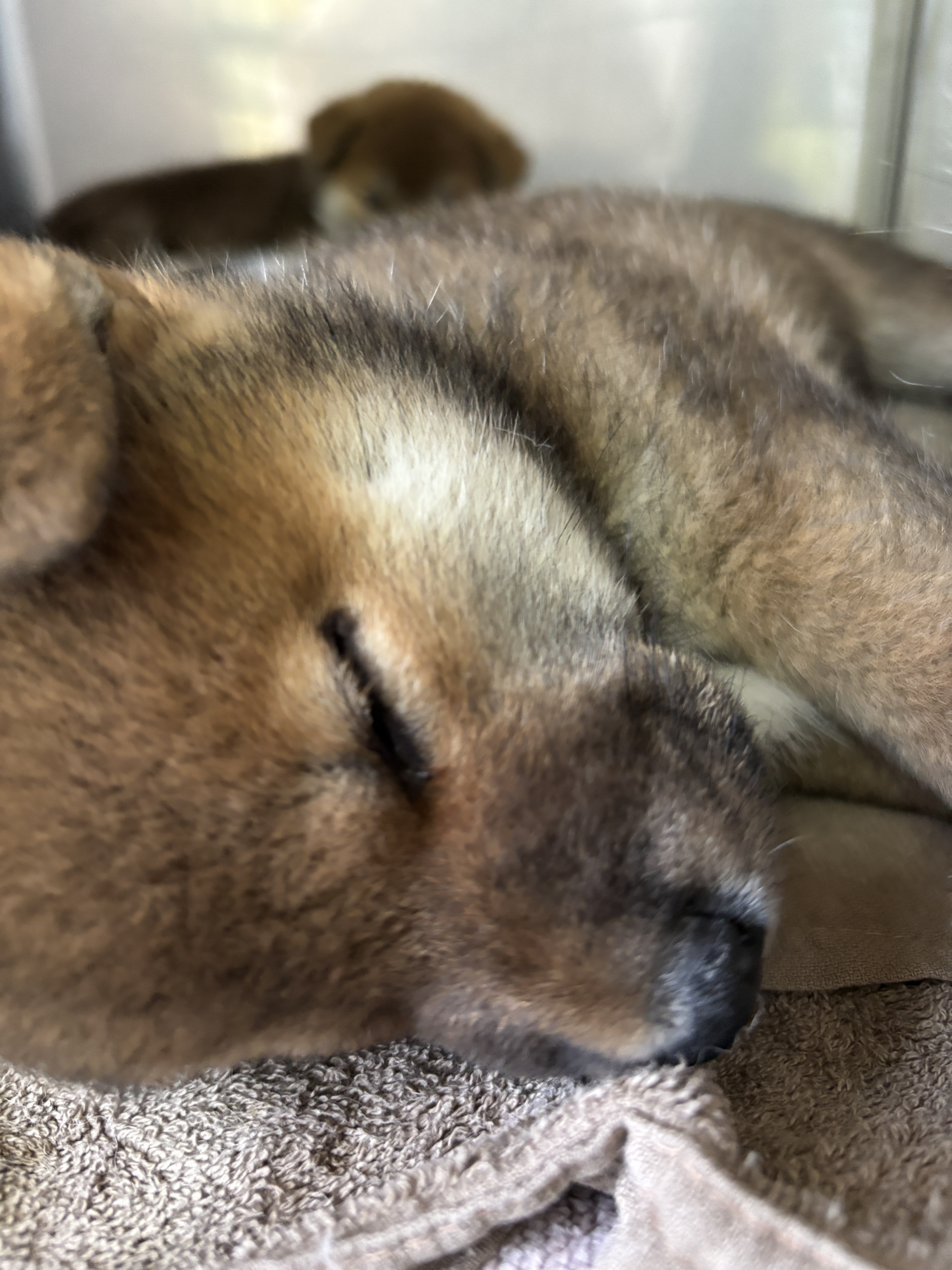 お急ぎの受診はお電話で。